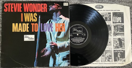 Stevie wonder was made to - made,