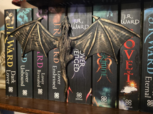 Dragon spine hugger book nook - hugger,