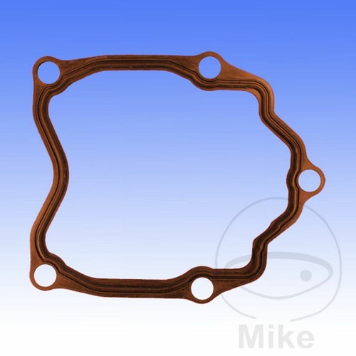 Valve cover gasket 751 70 - valve,