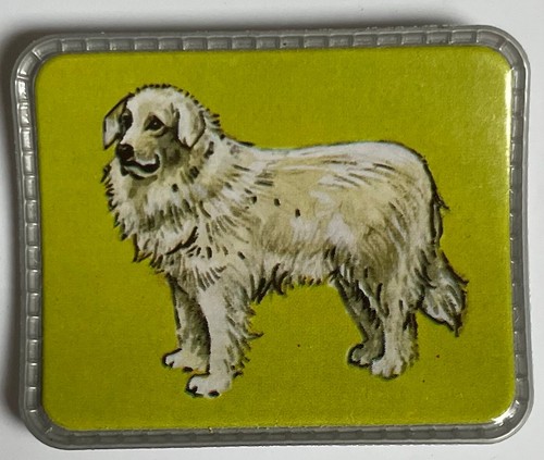 Dog trade card - trade,