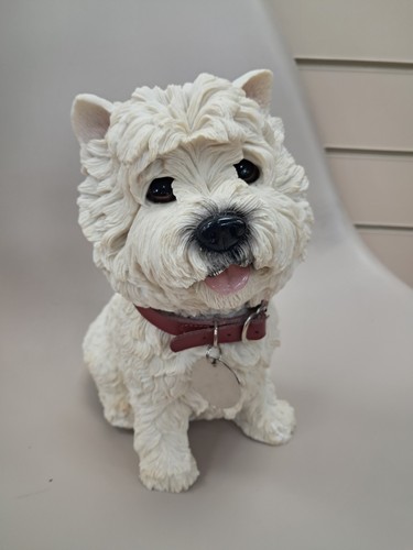West highland terrier doggie - highland,