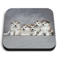 Square MDF Magnets - Alaskan