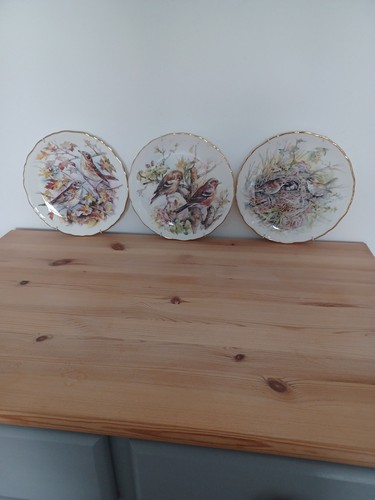 Royal albert garden birds - 3,