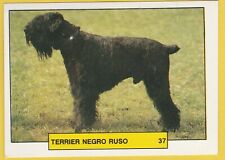 Dogs Spanish Trading card sticker circa 1981 Merchante #37 Black Russian Terrier