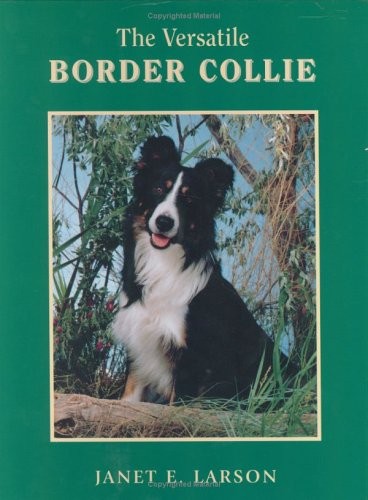 The versatile border - the, collie