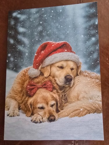 Pair gorgeous golden - of,