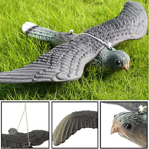 Fake falcon hawk bird - hawk,