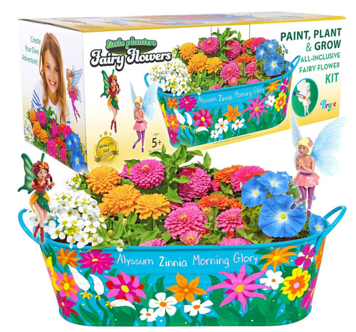 Fairy garden flower - flower, growing