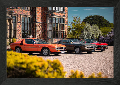 Alfa romeo montreal trio - alfa,