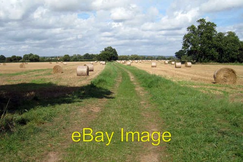 Photo 6x4 baled field off - photo,