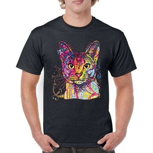 Dean russo abyssinian cat - abyssinian,