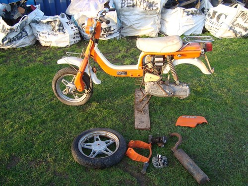 1979 suzuki fz50 - 1979, suzy