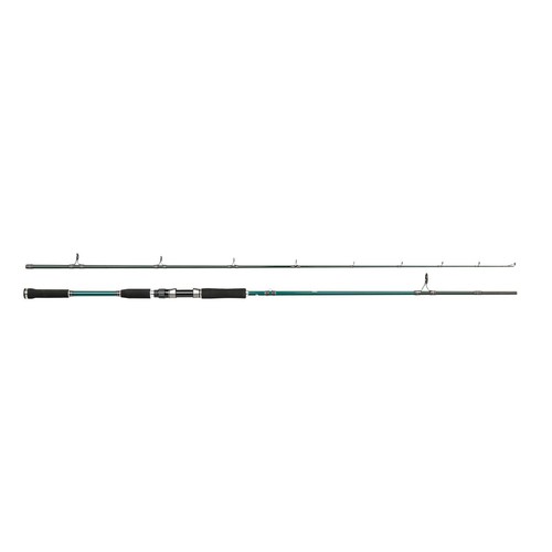 Abu garcia new beast - beast, pike