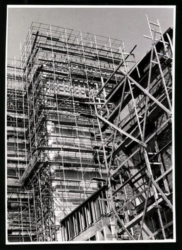 Photography herten - herten,,
