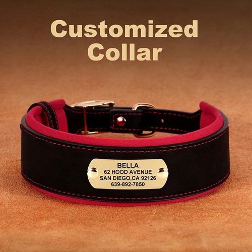 Wide leather personalised dog - wide,