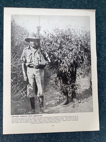 Australian with camouflaged - a,