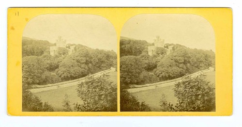 B0005 early steephill castle - b0005~,