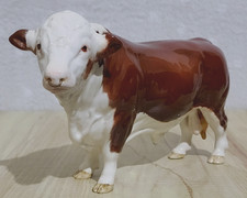 Beswick Polled Hereford Bull