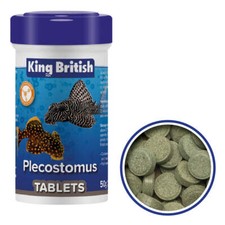 KING BRITISH PLECOSTOMUS