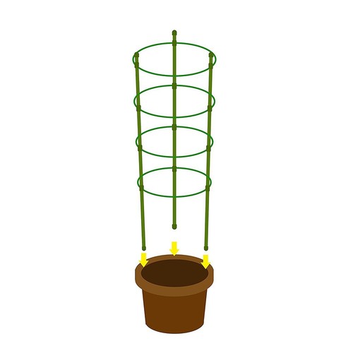 Vine climbing rack gardening - vine,