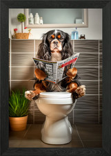 Spaniel on the Toilet Framed