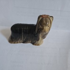  Wade Yorkshire Terrier Dog