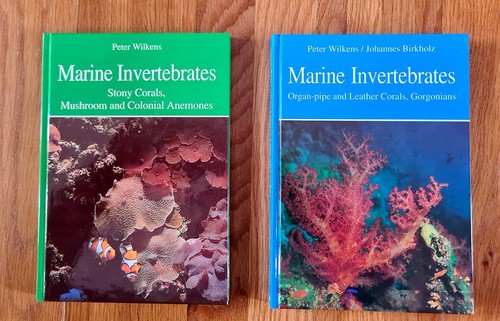 Marine invertebrates stony - marine,