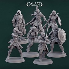 Warrior Knight Miniatures Set