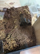 Reptile Vivarium Log Hide Cave PETG Safe Decor for Lizards Snakes Geckos