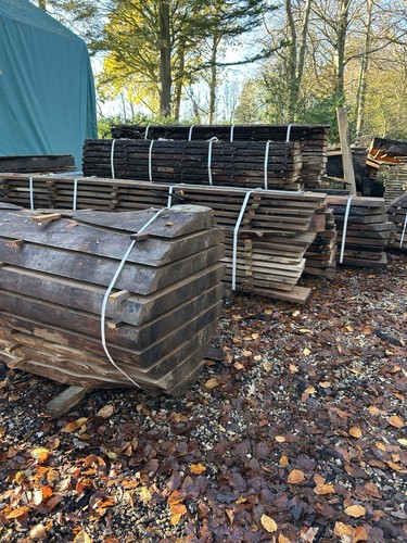 Beautiful english elm - beautiful,