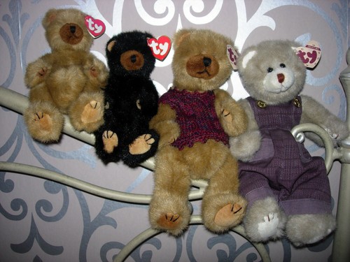 Attic bears does - attic,