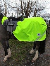 HI viz ride on Exercise Sheet