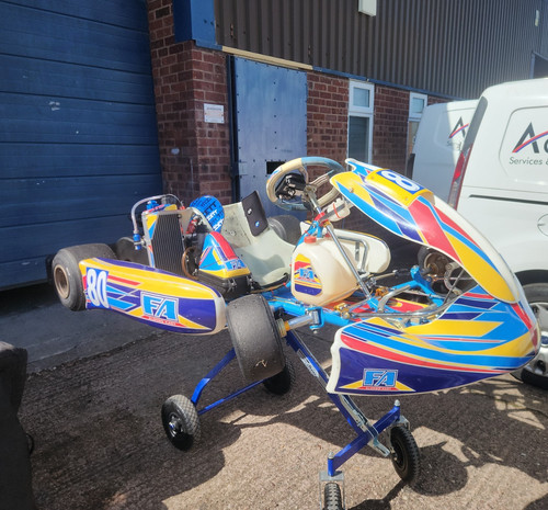 Tonykart fanando alonso rotax - fanando,