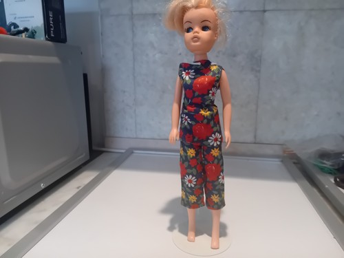 Vintage 1960 70s - 1960/70s, sindy
