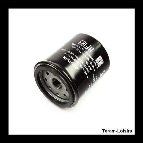 Oil filter for benelli - oil, 250