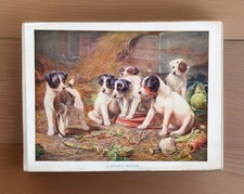 Antique 1916 Jack Russell Terrier Puppies In A Barn Puppy Book Print Picture
