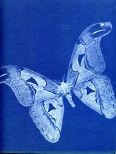 Dictionary of Butterflies and