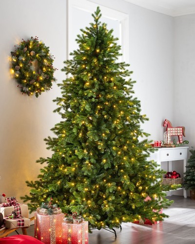 Balsam fir christmas tree - fir,