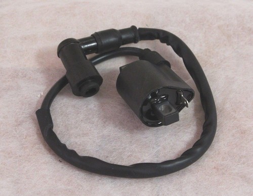 Ignition coil cg125 polaris - coil,