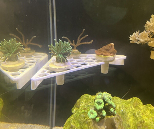 Slim honeycomb reef aquarium - slim,