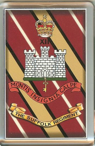 Fridge magnet suffolk - fridge,