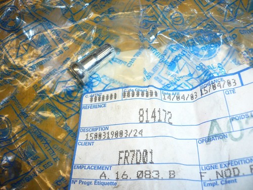 Wheel radius nut piaggio - nut,
