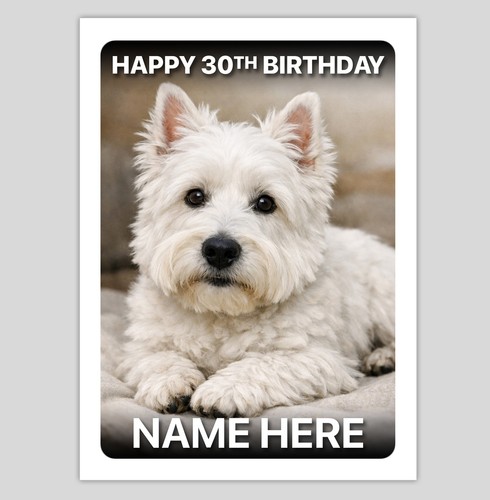 West highland terrier - highland,