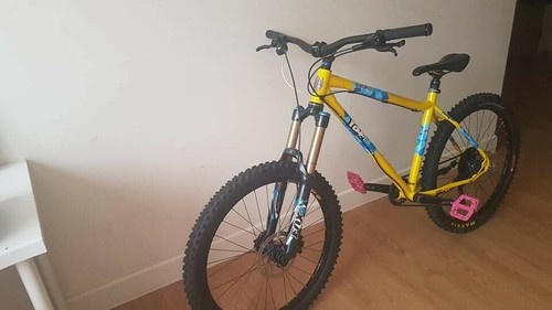 2014 ragley blue pig