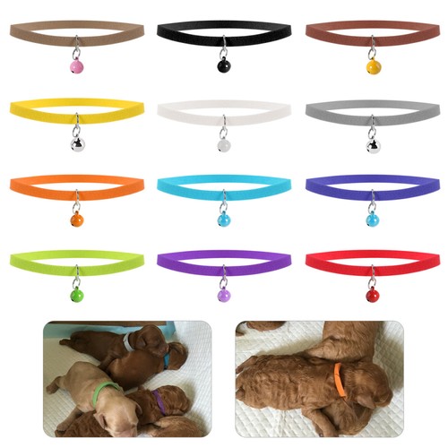Puppy identification collars - ,