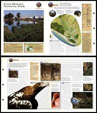 Coto Donana National Park #66