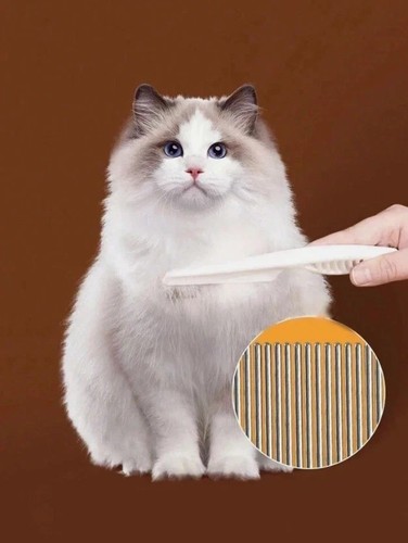 Pet dog cat - puppy, flea
