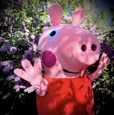 Peppa Pig-Style Mascot Costume