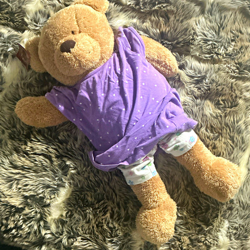 Beige plush teddy bear with - teddy,