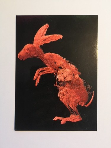 Morbid anatomy postcard - anatomy,